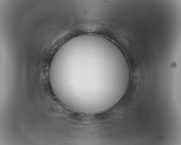 X0000112871349200909111523