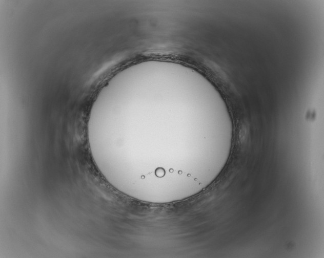 X0000112871350200909111523