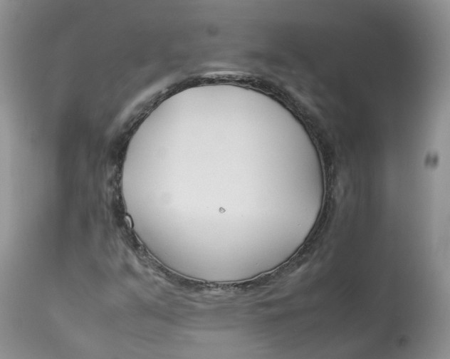 X0000112871351200909111523