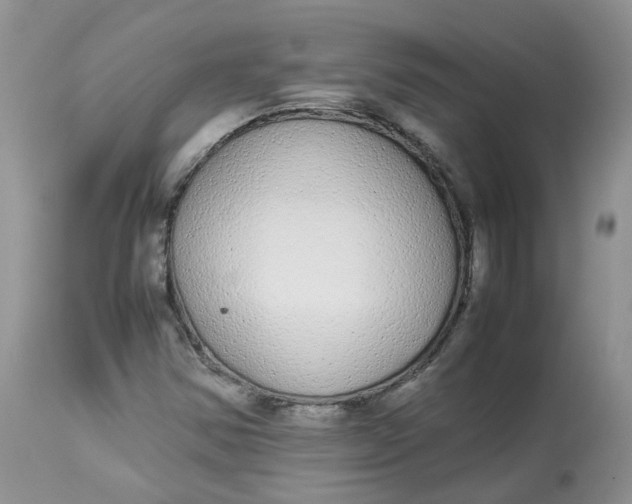 X0000112871354200909111523