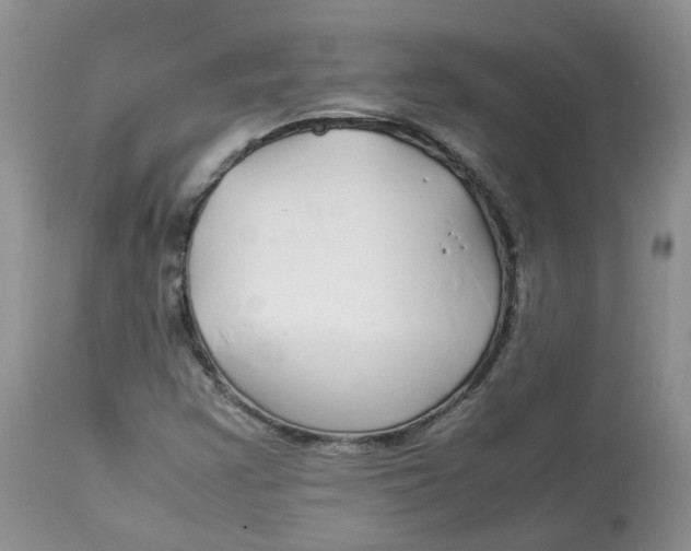 X0000112871355200909111523