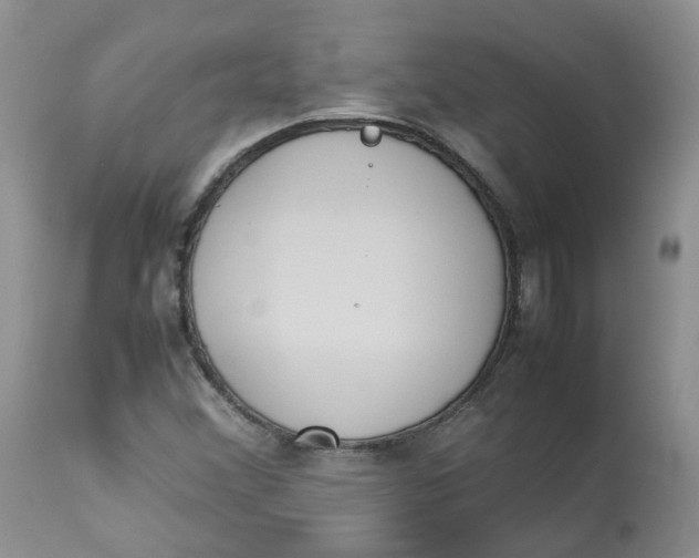 X0000112871356200909111523