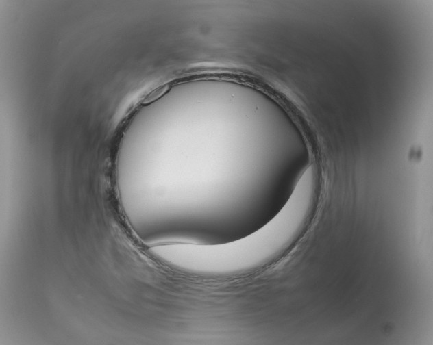 X0000112871357200909111523