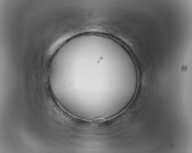 X0000112871359200909111523