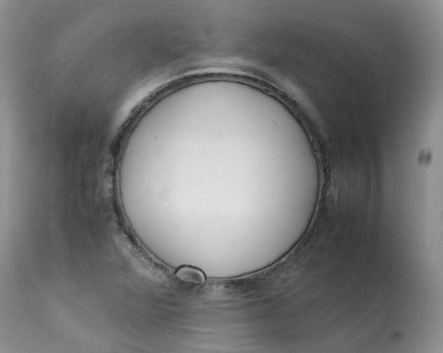 X0000112871360200909111523