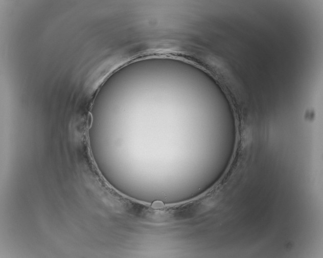 X0000112871361200909111523