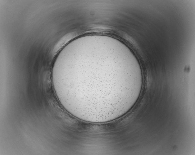 X0000112871362200909111523