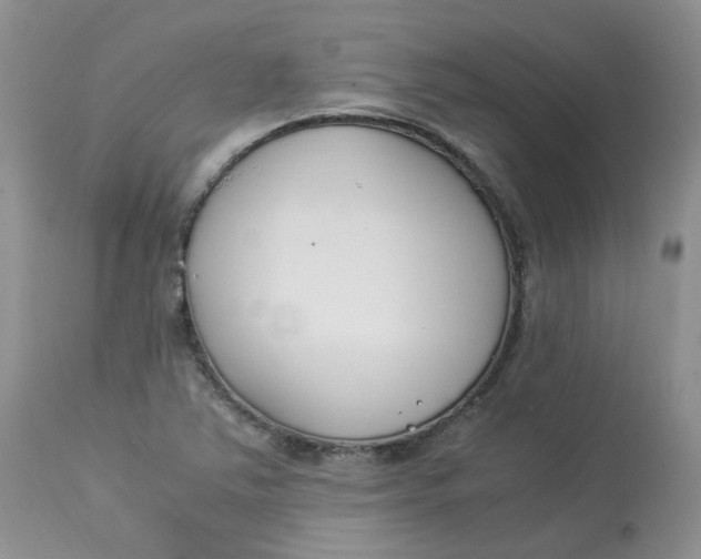 X0000112871363200909111523