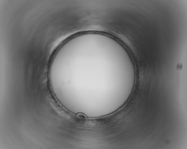 X0000112871364200909111523