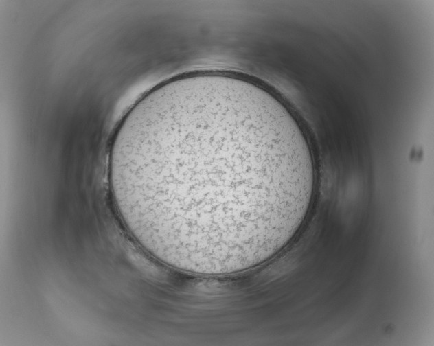 X0000112871366200909111523