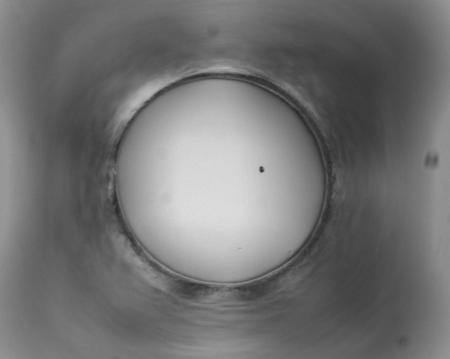 X0000112871367200909111523