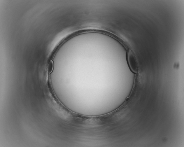 X0000112871368200909111523