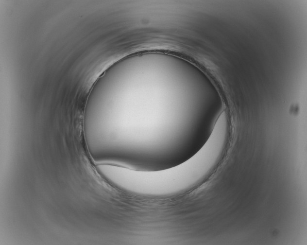 X0000112871369200909111523