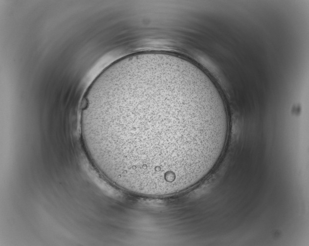 X0000112871370200909111523