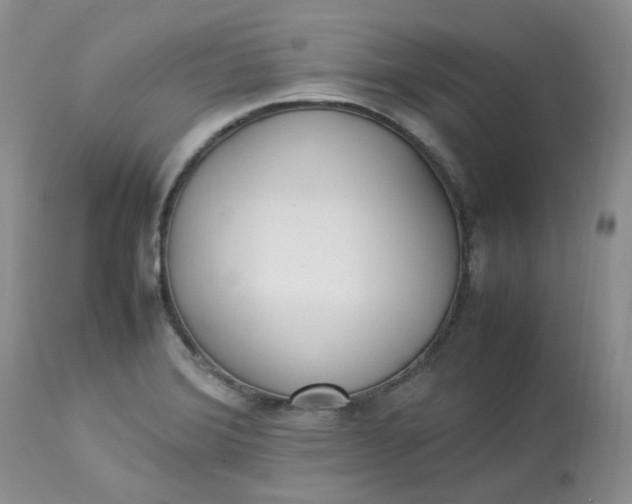 X0000112871372200909111523