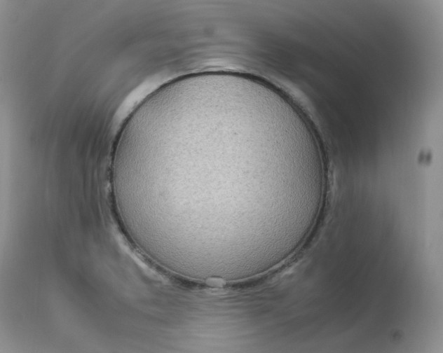 X0000112871373200909111523