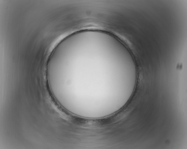 X0000112871375200909111523