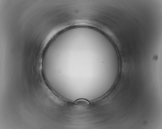 X0000112871376200909111523