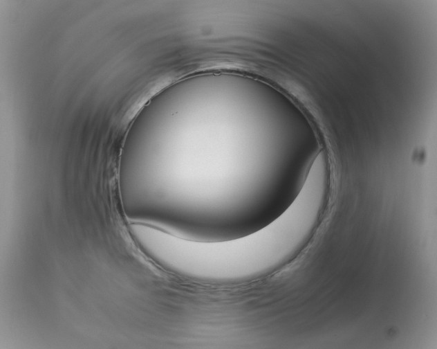 X0000112871377200909111523