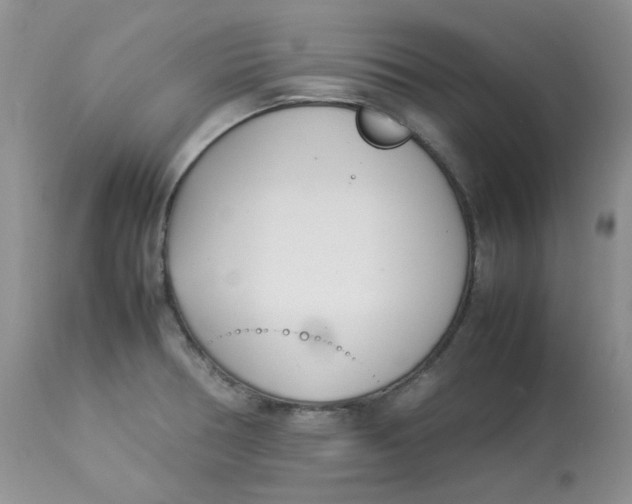 X0000112871378200909111523