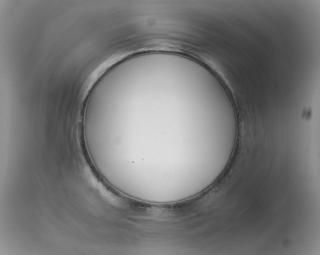 X0000112871379200909111523