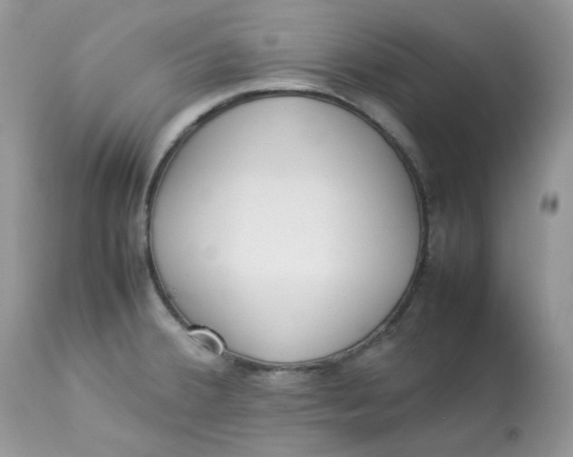 X0000112871380200909111522