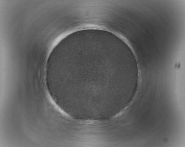 X0000112871381200909111522