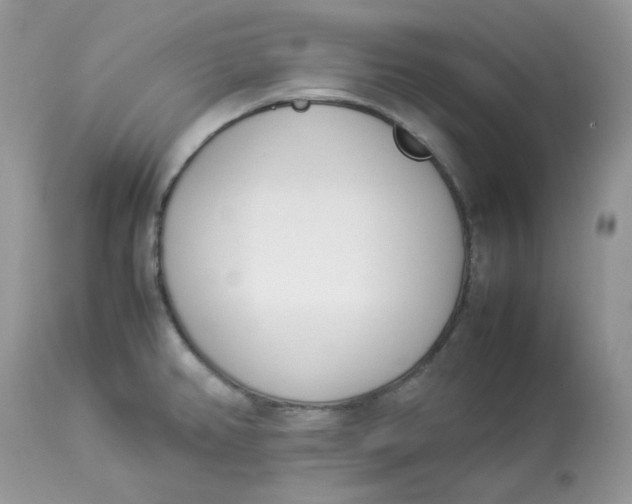 X0000112871382200909111522