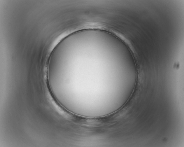 X0000112871383200909111522