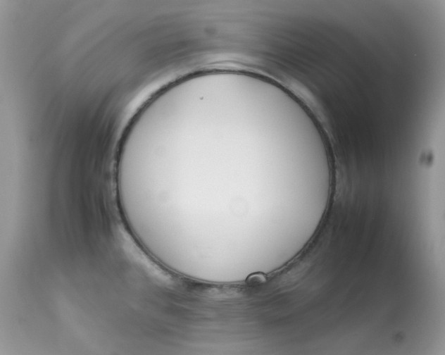 X0000112871384200909111522