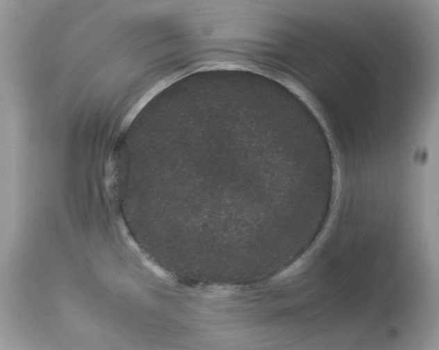 X0000112871385200909111522