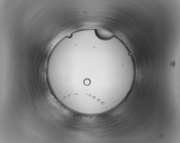 X0000112871386200909111522