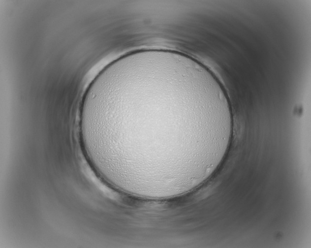 X0000112871387200909111522