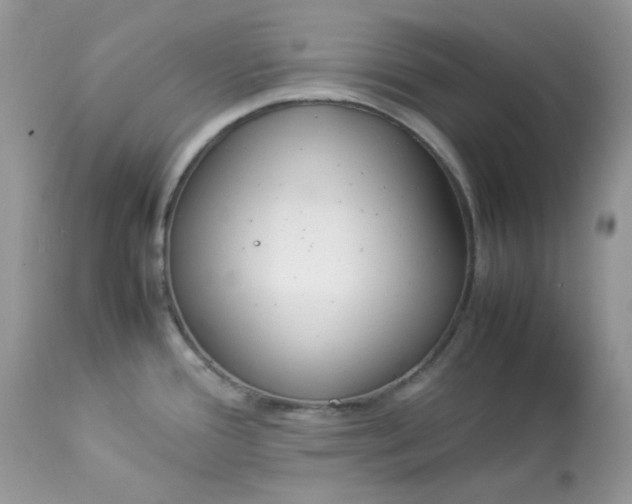 X0000112871388200909111522