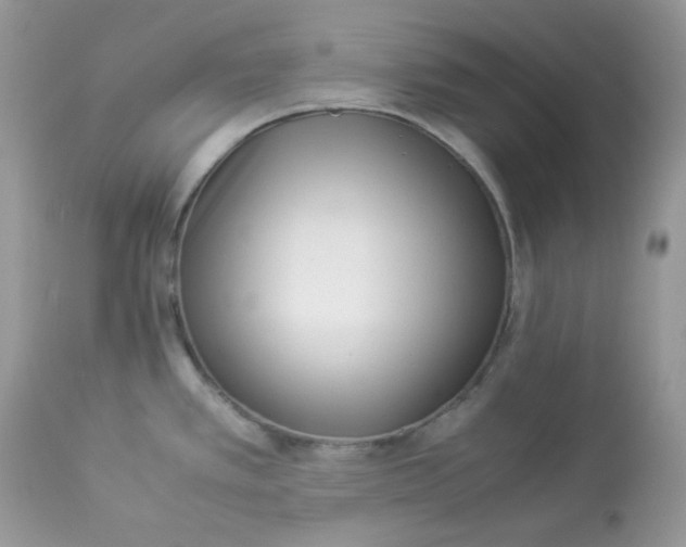 X0000112871389200909111522