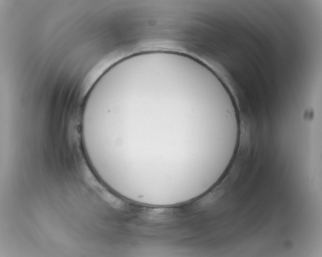 X0000112871390200909111522