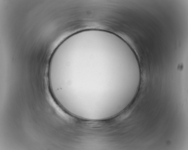 X0000112871391200909111522