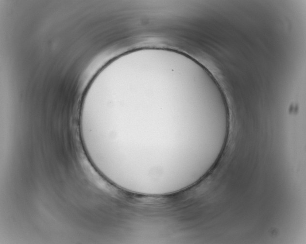 X0000112871392200909111522