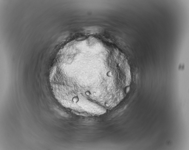 X0000112871393200909111521