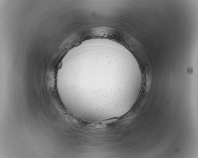 X0000112871394200909111521