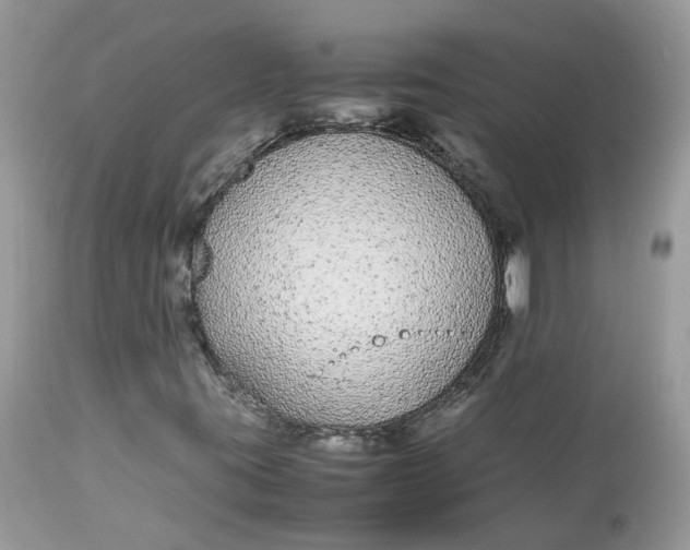 X0000112871395200909111521