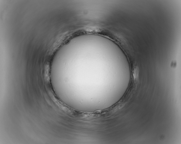 X0000112871396200909111521