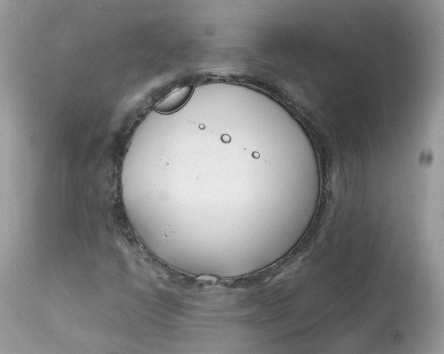 X0000112871398200909111521