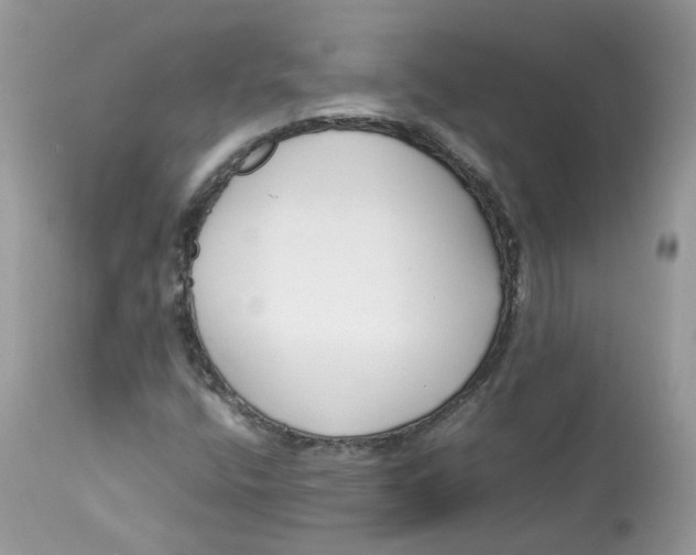 X0000112871400200909111521