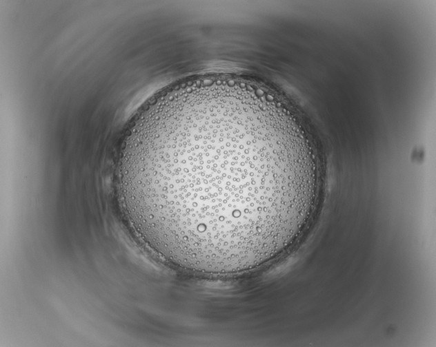 X0000112871401200909111521