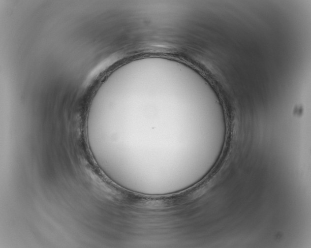 X0000112871402200909111521