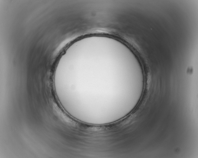 X0000112871404200909111522