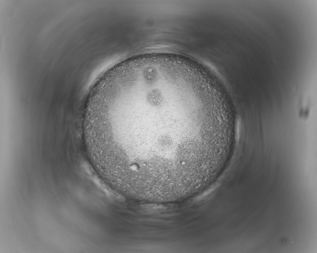 X0000112871405200909111522