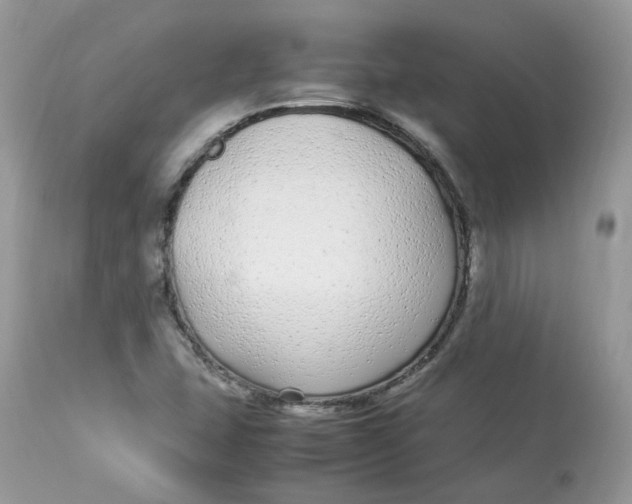 X0000112871407200909111522