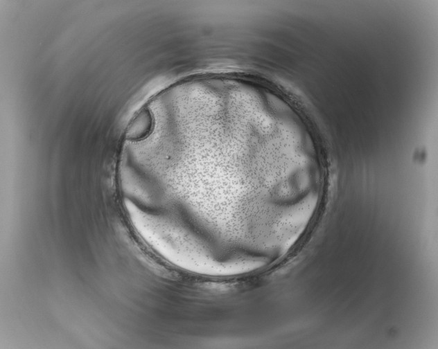 X0000112871409200909111522